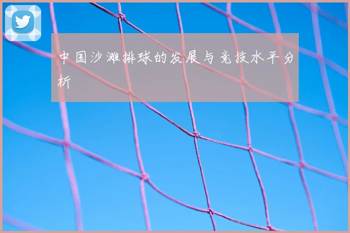 中国沙滩排球的发展与竞技水平分析
