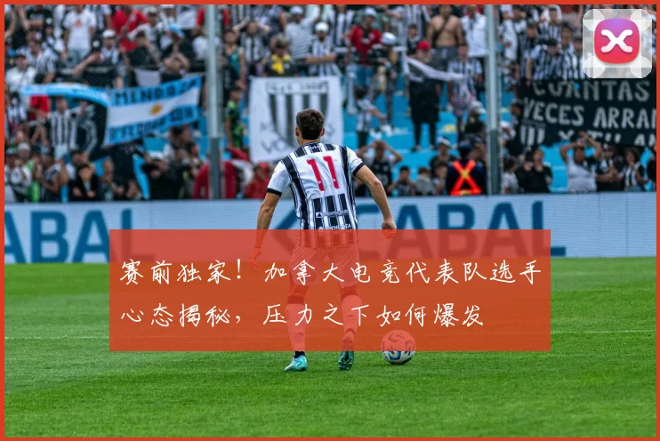 赛前独家！加拿大电竞代表队选手心态揭秘，压力之下如何爆发