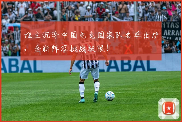 谁主沉浮中国电竞国家队名单出炉,全新阵容挑战极限!